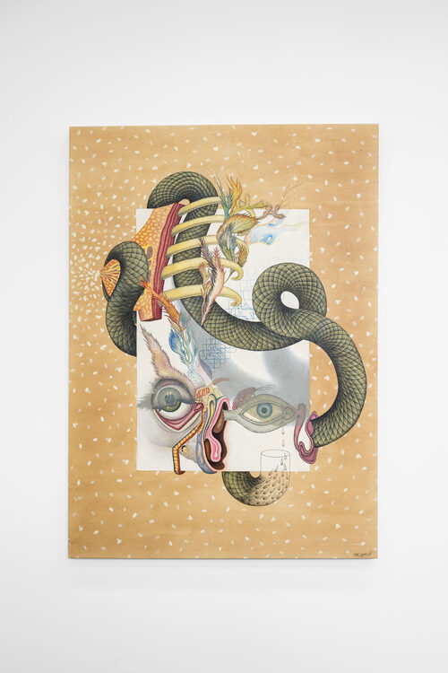 View featured artwork Tears by Aileen Bahmanipour