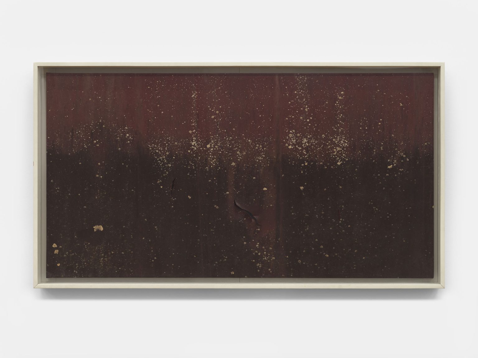 Senior by Nick Hoecker