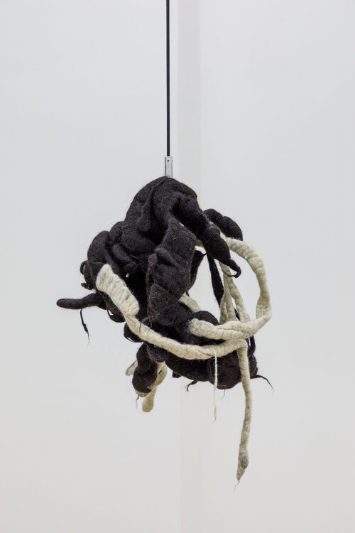 View featured artwork Inside-out #7 conversation pendulum (cerebella) by Hella Gerlach