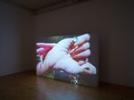 Transmissions by Mira M. Yang – installation view
