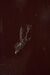 A Falling Star Brings Luck to Those Who See It by Anastasia Pavlou – detail view