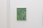 Peacock by Joshua Abelow – installation view