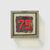 Untitled (#75) (from the series "Technological Reliquares") by Paul Thek