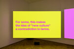 SM BNGRZ.04–06 by Tony Cokes – installation view