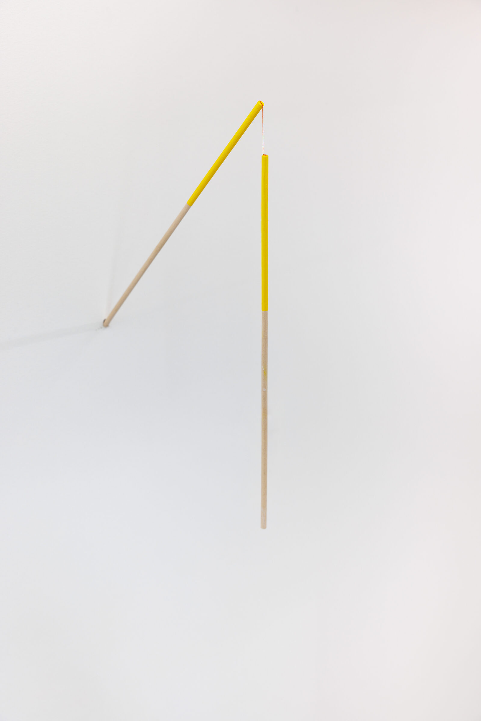 Image gallery The Canary by Alfredo Travieso