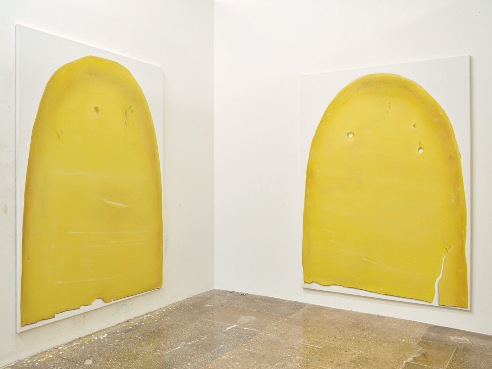 Image gallery Casus by Robert Roest – installation view