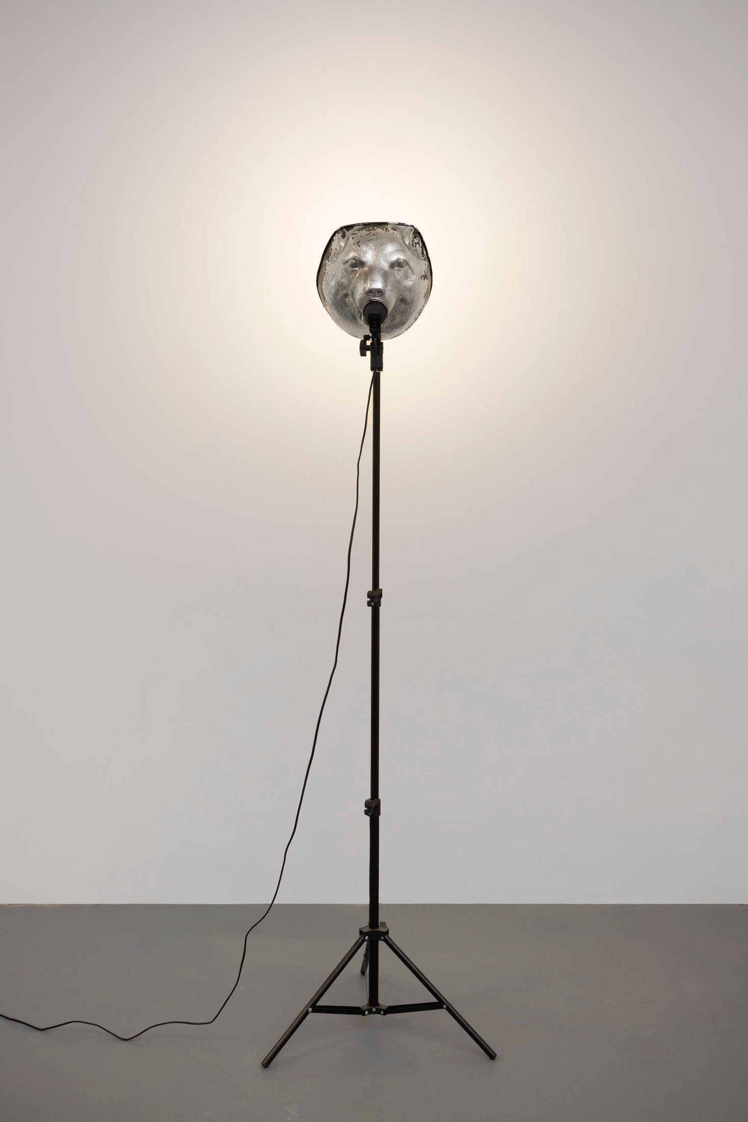 Image gallery Bear Head by Tian Jianxin – installation view