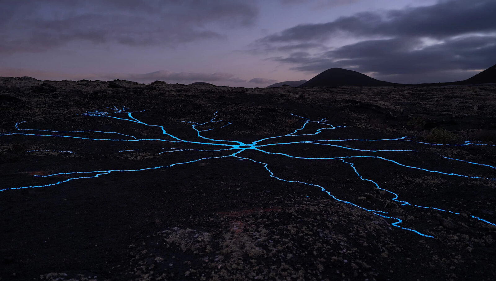 Image gallery Drawings of the Latent Crust: Network of Natural Intelligence by Isabel Merchante