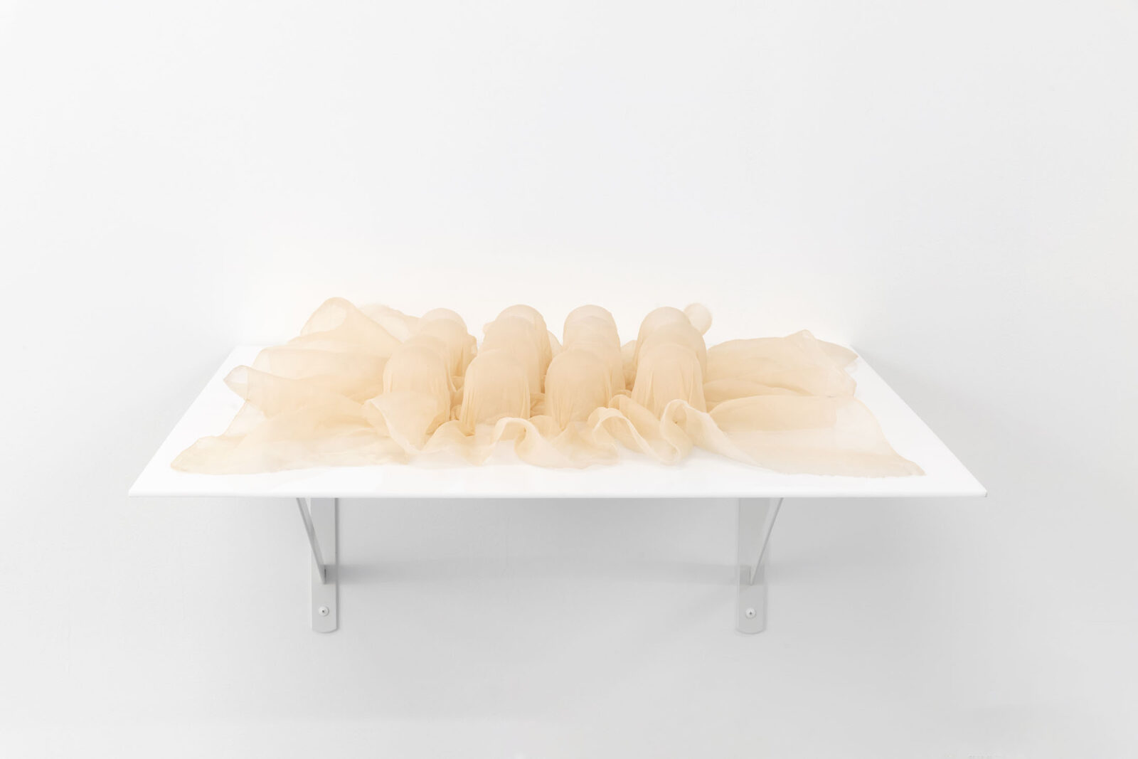 Salve (Alnus incana) by Sarah Vajira Lindström – installation view