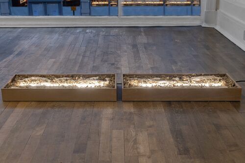 View featured artwork Time before time (Luce) by Francesco Pacelli
