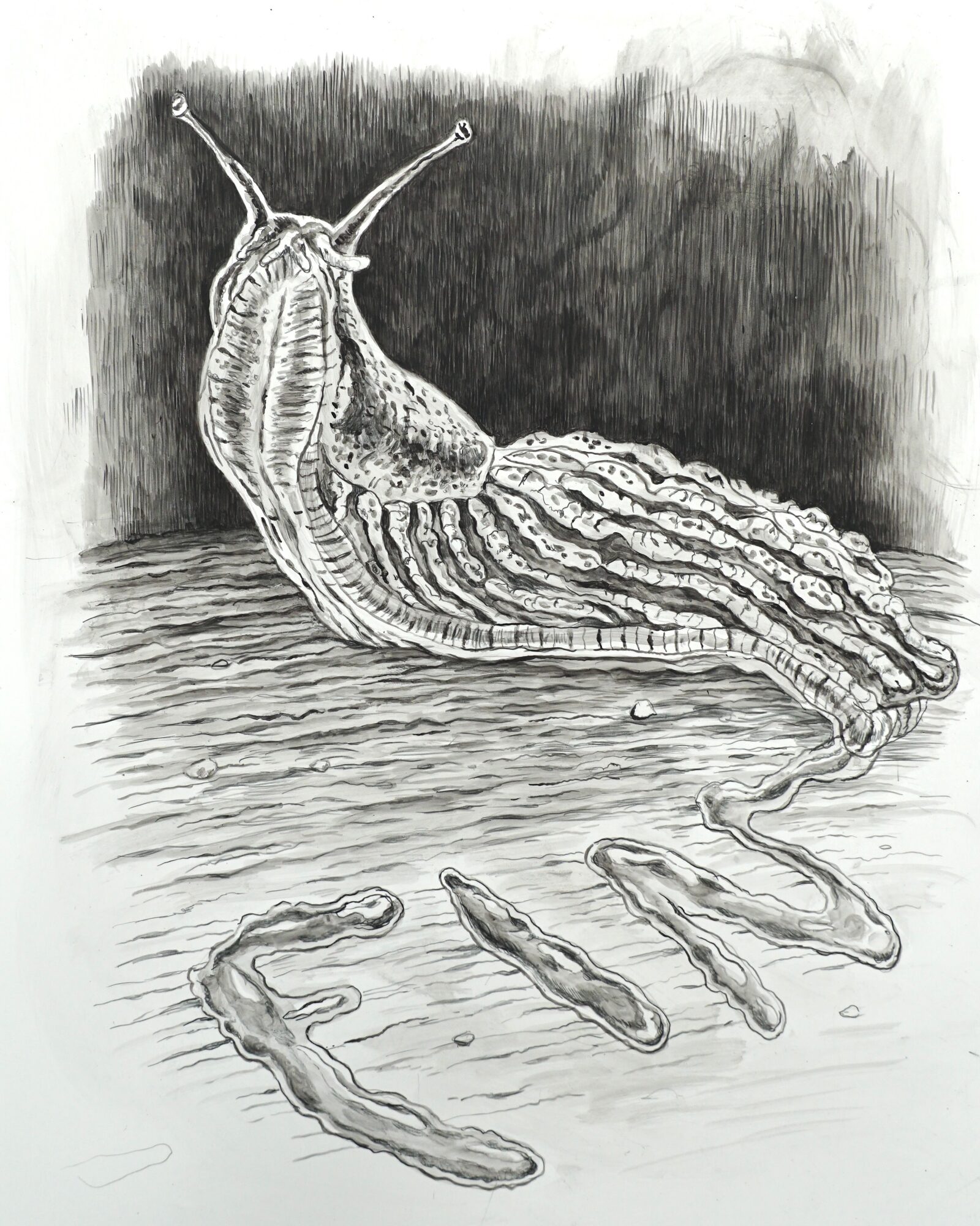 Fin by Jude Griebel