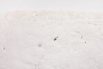 A Path Paved With the Shards of your Vertebrae and Salty Tears by Samuel Alves de Jesus