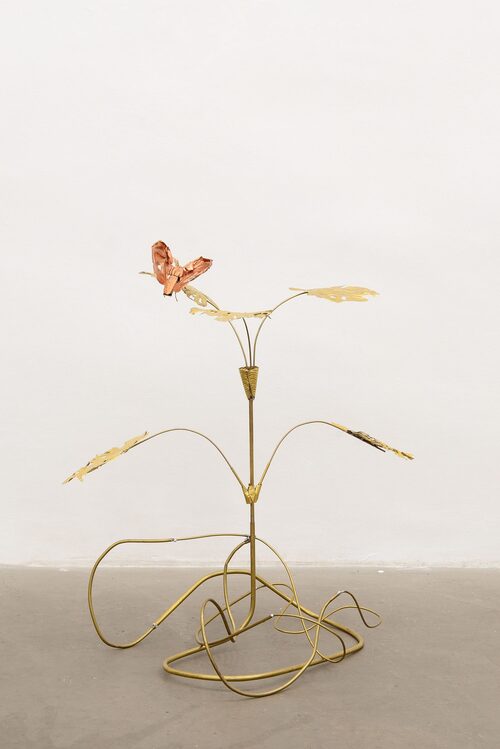 View featured artwork Batesian Mimicry by Blanca Gracia