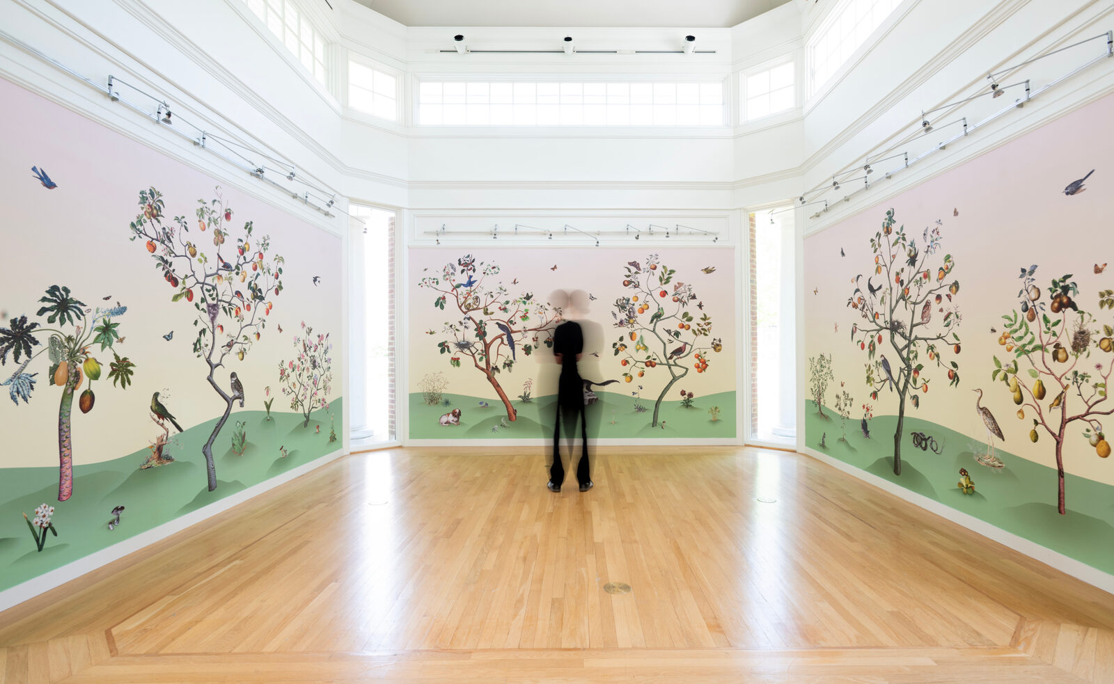 Image gallery Impossible Garden: Dusk & Dawn by Emma Steinkraus