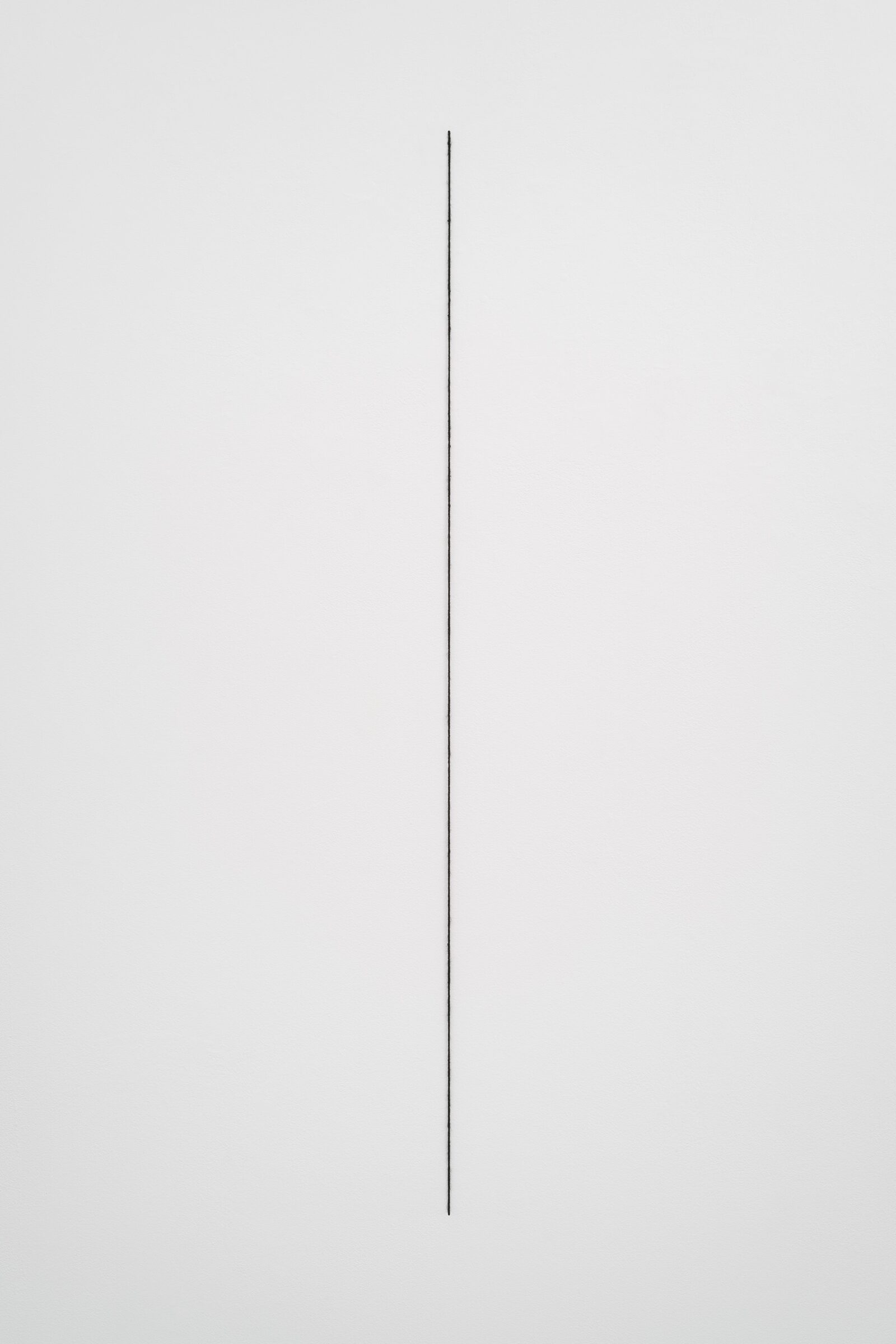 Untitled (Vertical Wall Construction) by Fred Sandback