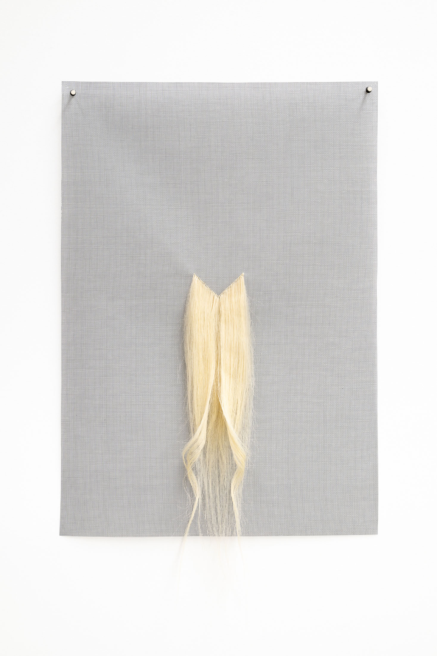 The Golden Section 1 by Karin Jones