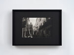 本命年 by Ann Zhao – detail view