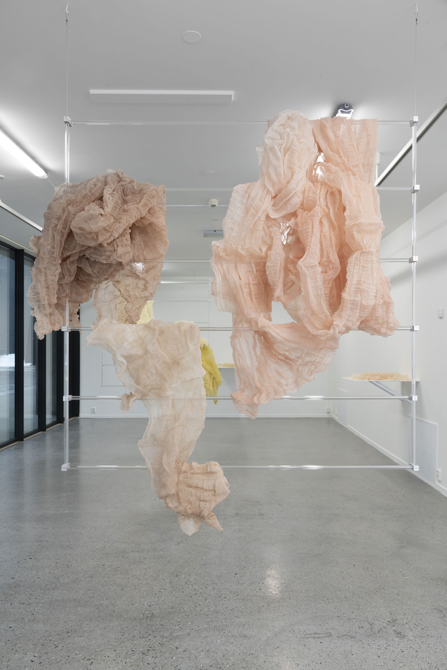 Image gallery Materia medica I by Sarah Vajira Lindström – installation view