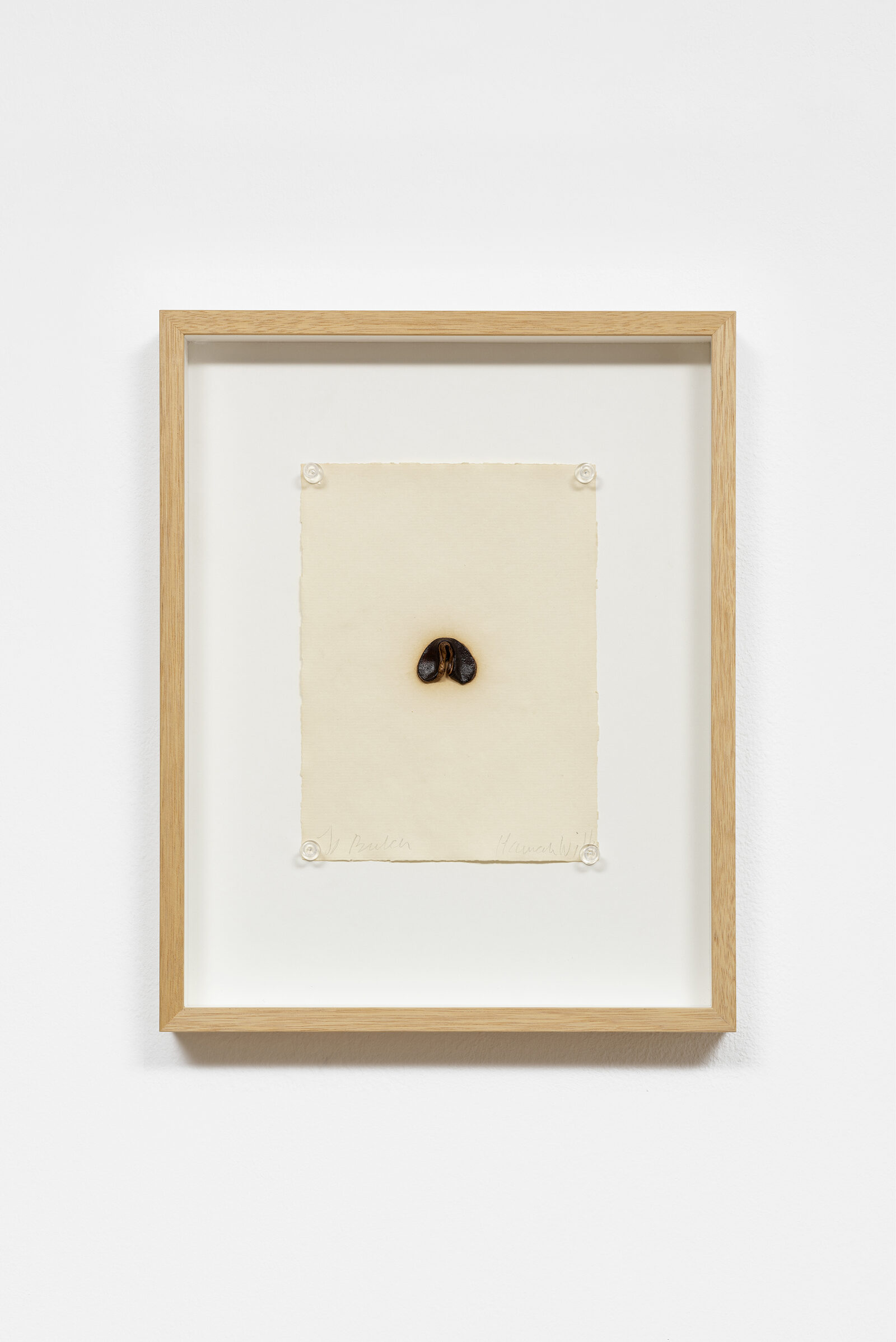 Image gallery Untitled by Hannah Wilke