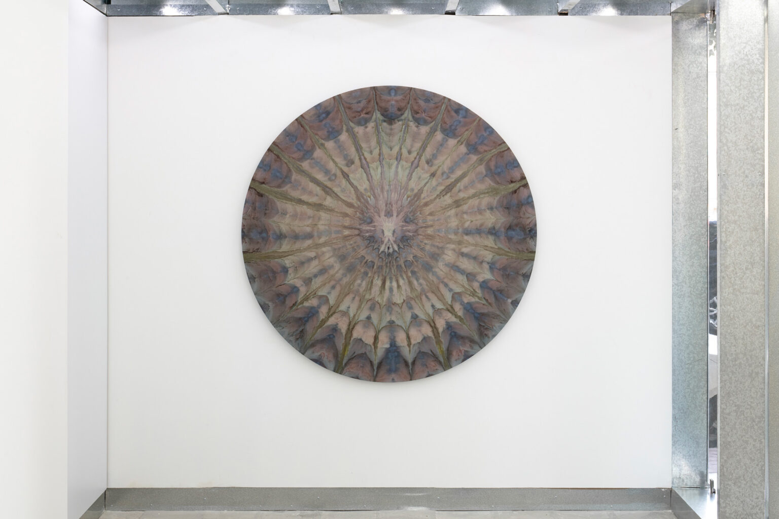 Image gallery Unfurled by Noah Barker