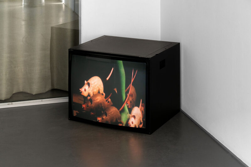 Featured artwork Untitled (rat race outtake) by Cyprien Gaillard