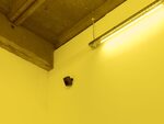 ☺︎☺︎☺︎☺︎☺︎sion by Nandi Loaf – installation view