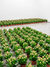Field by Nina Beier – installation view