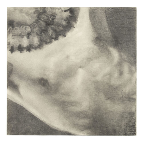 View featured artwork Torso (after Van Vechten) by Richard Maguire