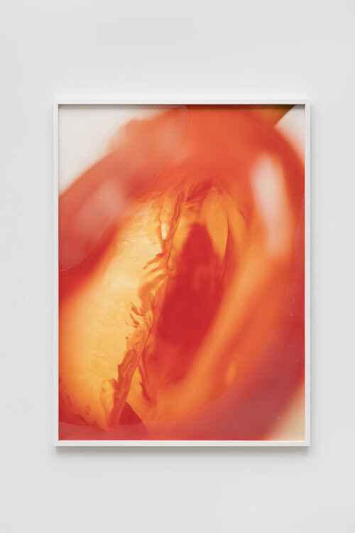 View featured artwork Thresholds by Pakui Hardware