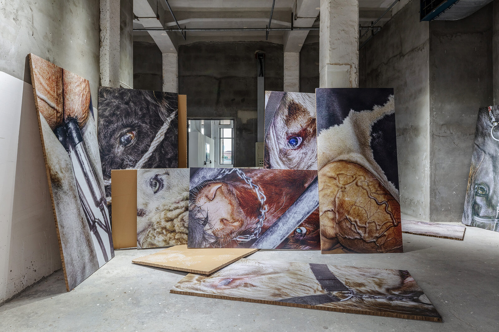 Animal Material II by Satoshi Fujiwara