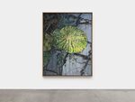Swimming Pool by Guan Xiao – installation view