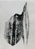 Selachii. A Morphology of Extinction in Eight Samples. by Imke Kreiser