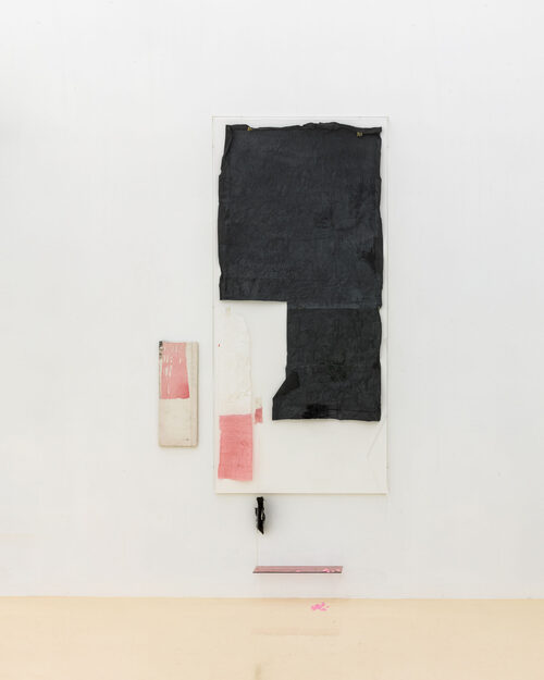 View featured artwork health house, remnant pink by Ian Kiaer