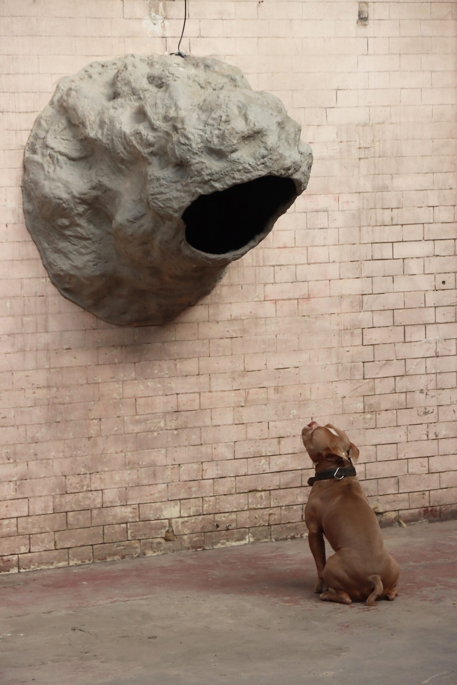Image gallery Terra Cave, Pigeon Park by William Cobbing
