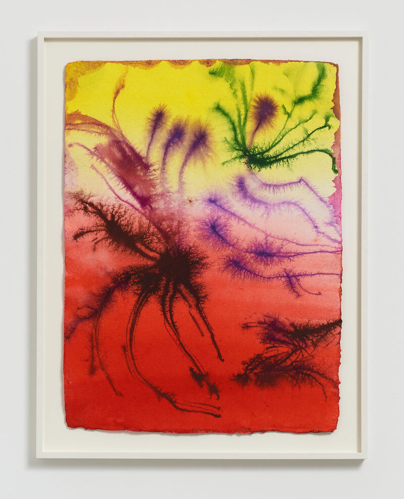 View featured artwork