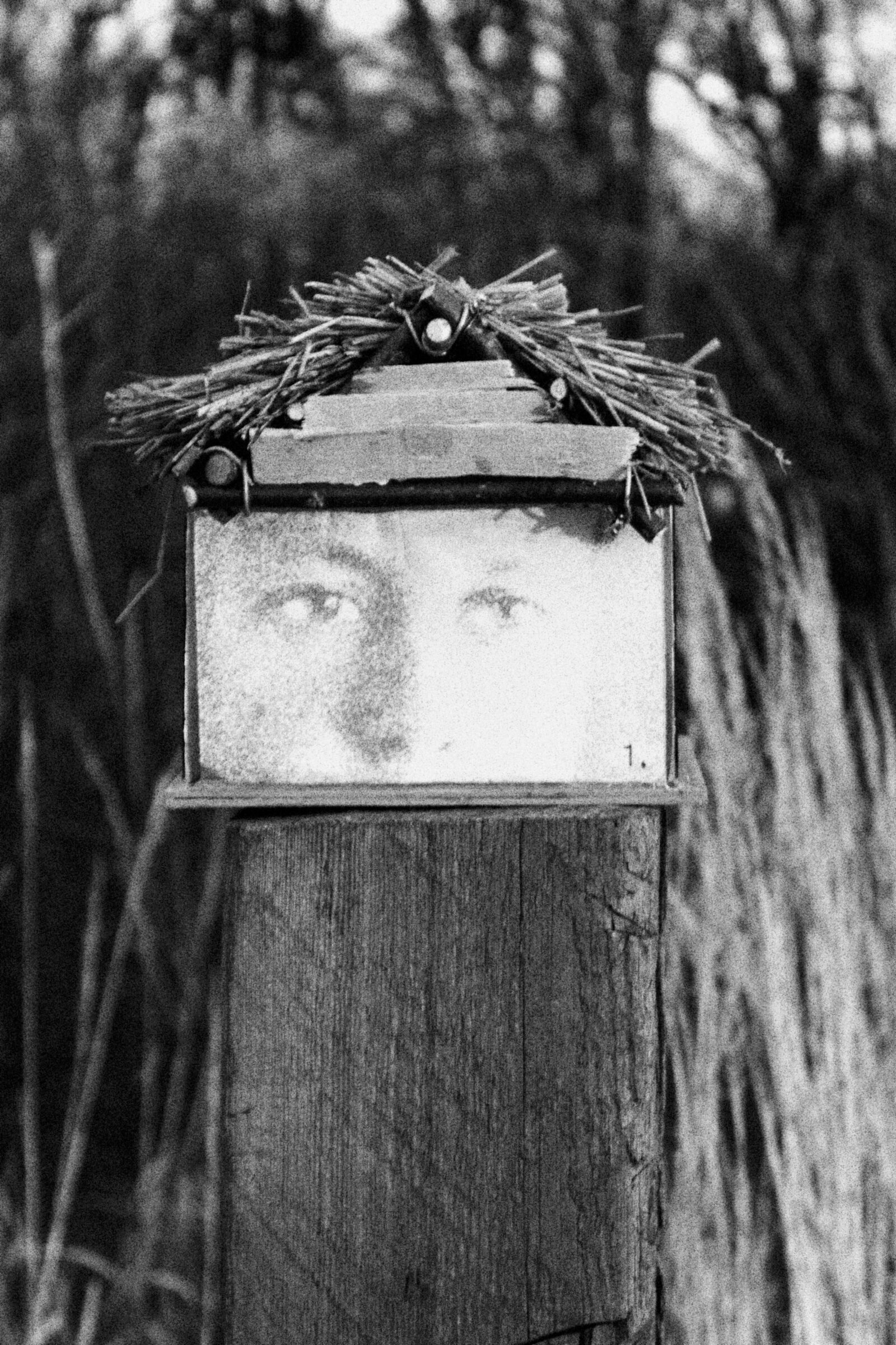 Image gallery Svitlytsia by Maksym Son