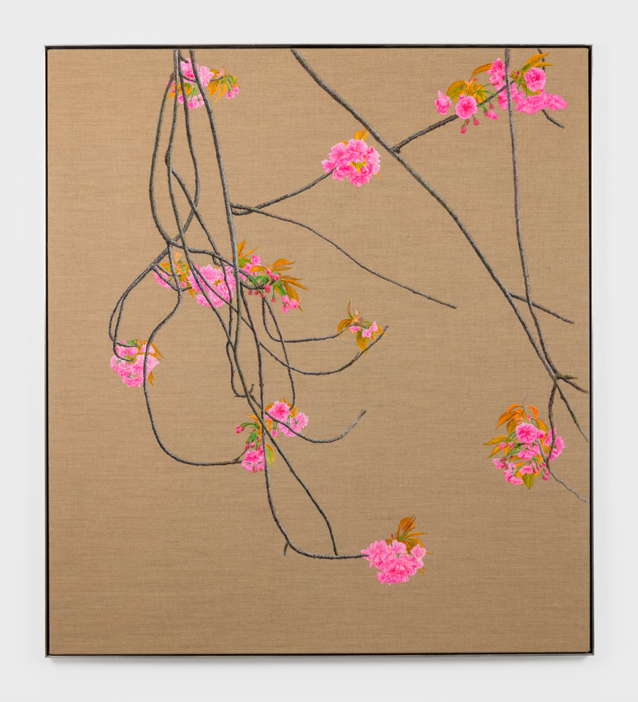 Image gallery Cherry Blossom by Michael Wilkinson