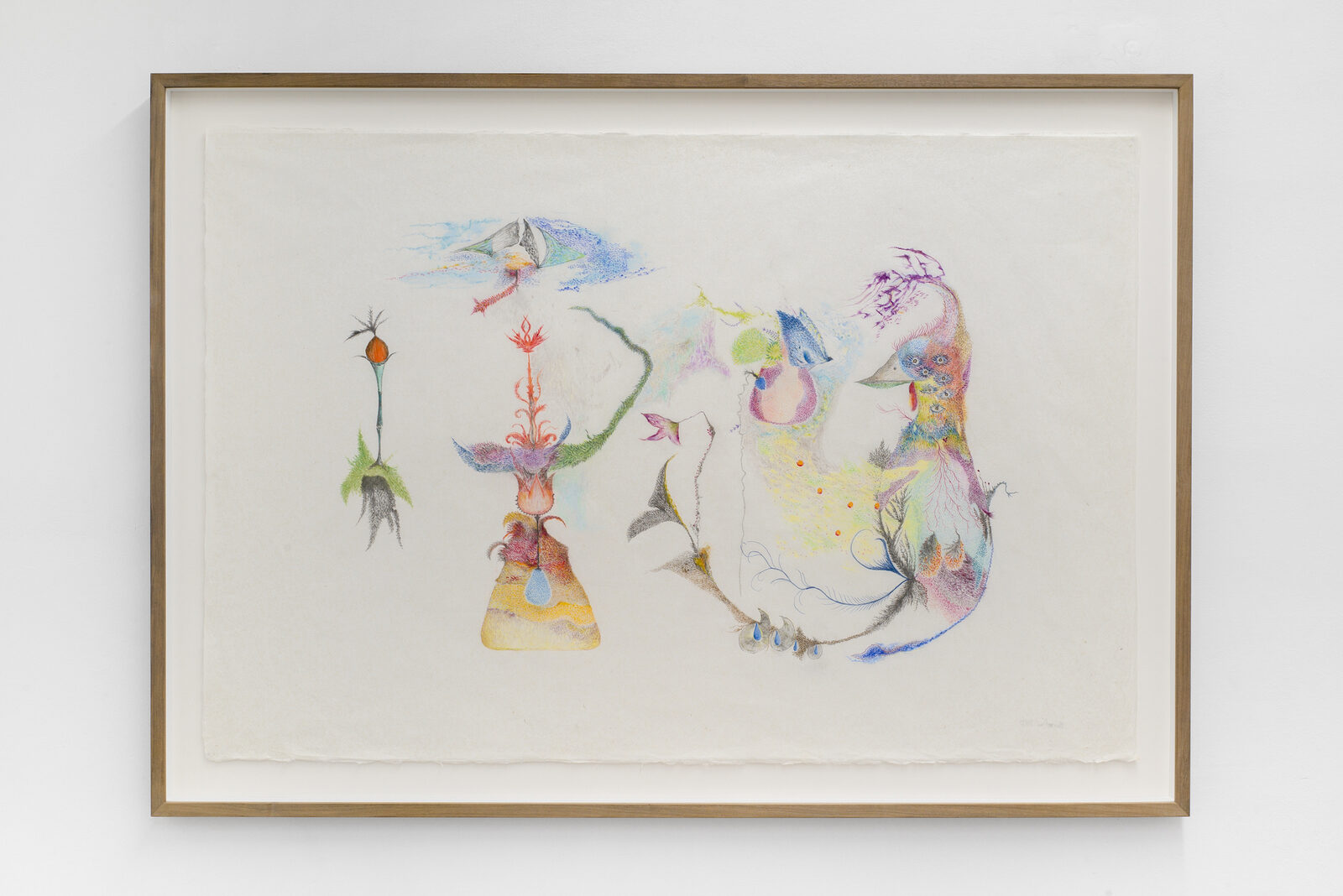 Fourteen Eyes by Valentina Bartolini