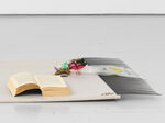Multipass (Hold your Horses) by Sinaida Michalskaja – detail view