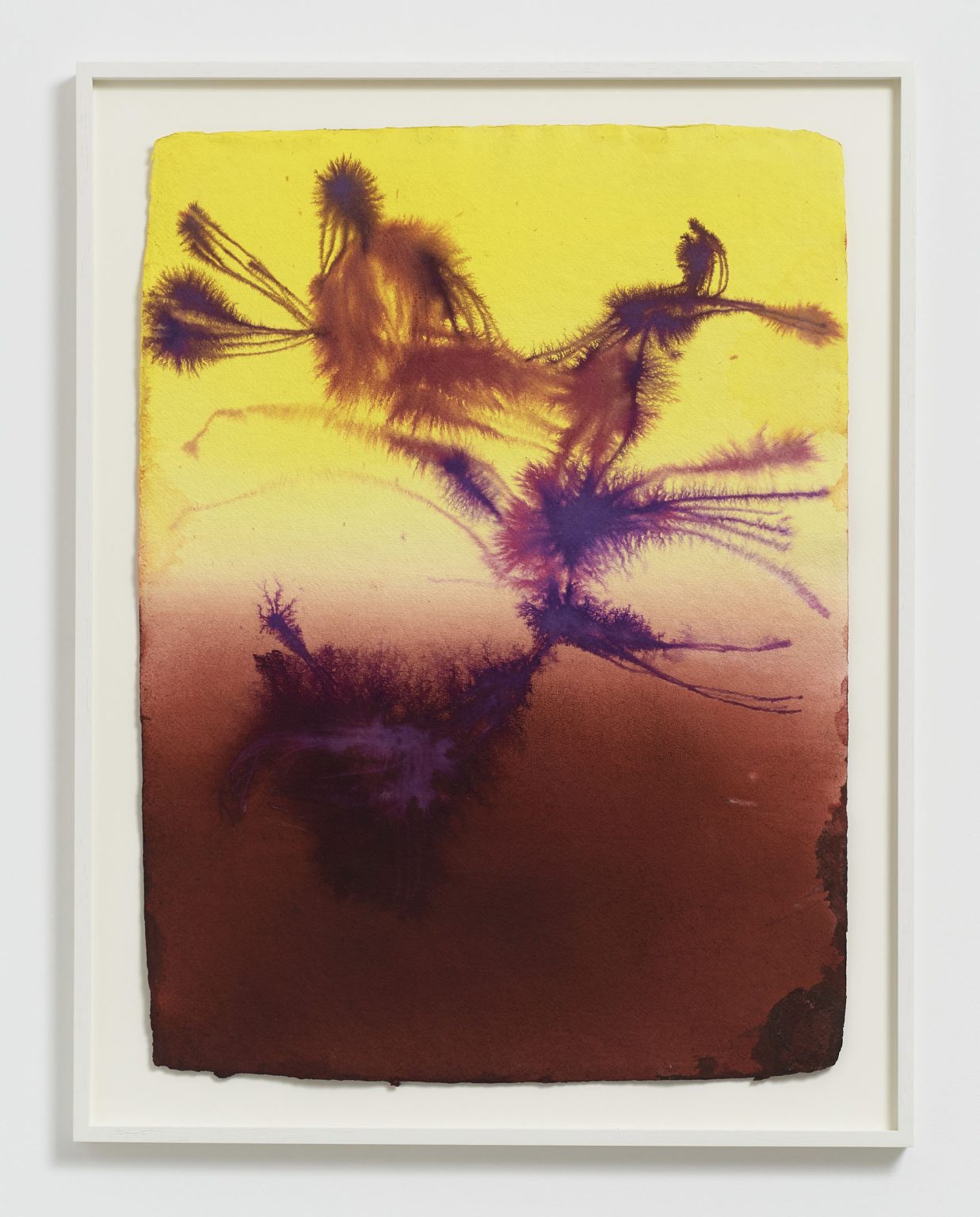 Untitled (Flower painting V003_24) by David Roth