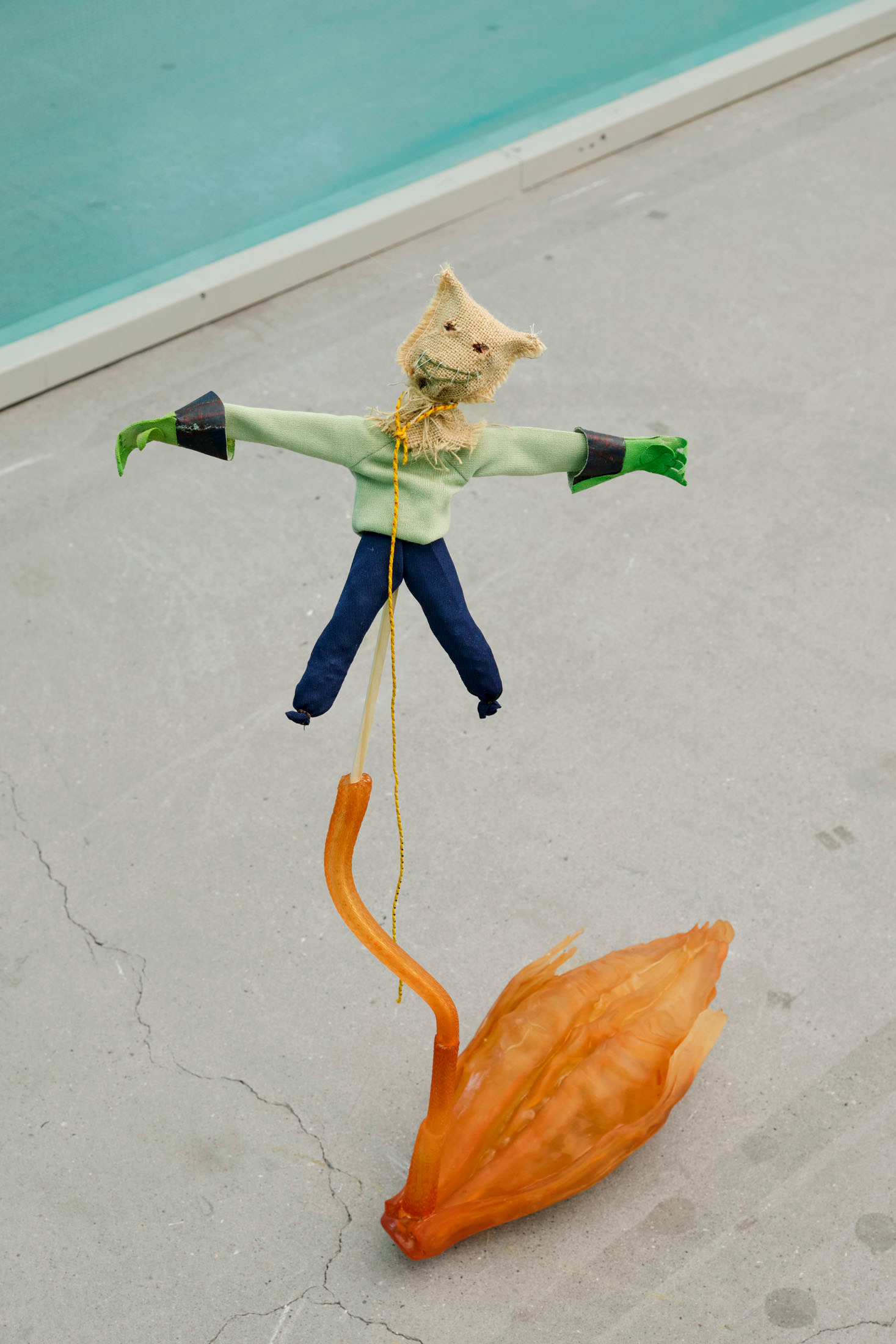 Scarecrow Sprout (Barley / Nightmare) by Jasmin Werner – installation view