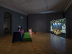 Birds on Land, Mammals in the Sky by João Maria Gusmão – installation view