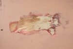 Field II by Anastasia Pavlou – detail view