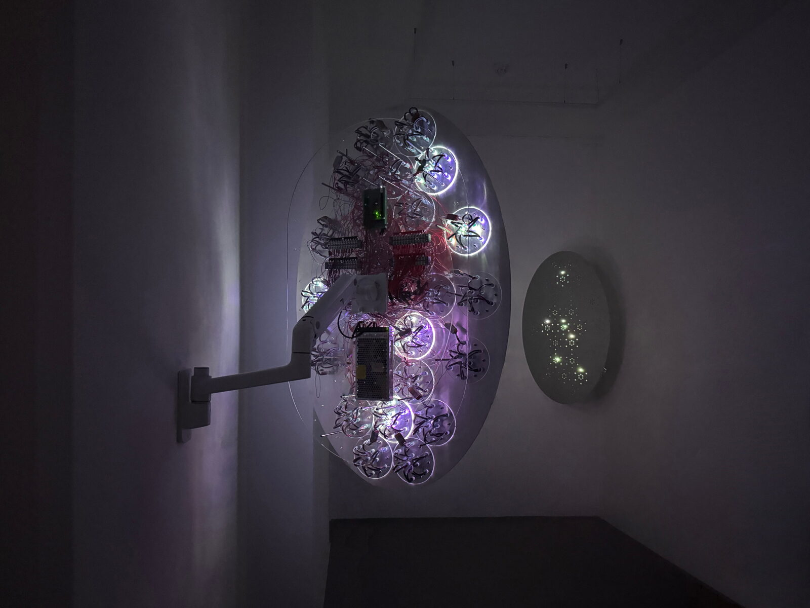 Image gallery Constellation Creatures by Isabel Merchante