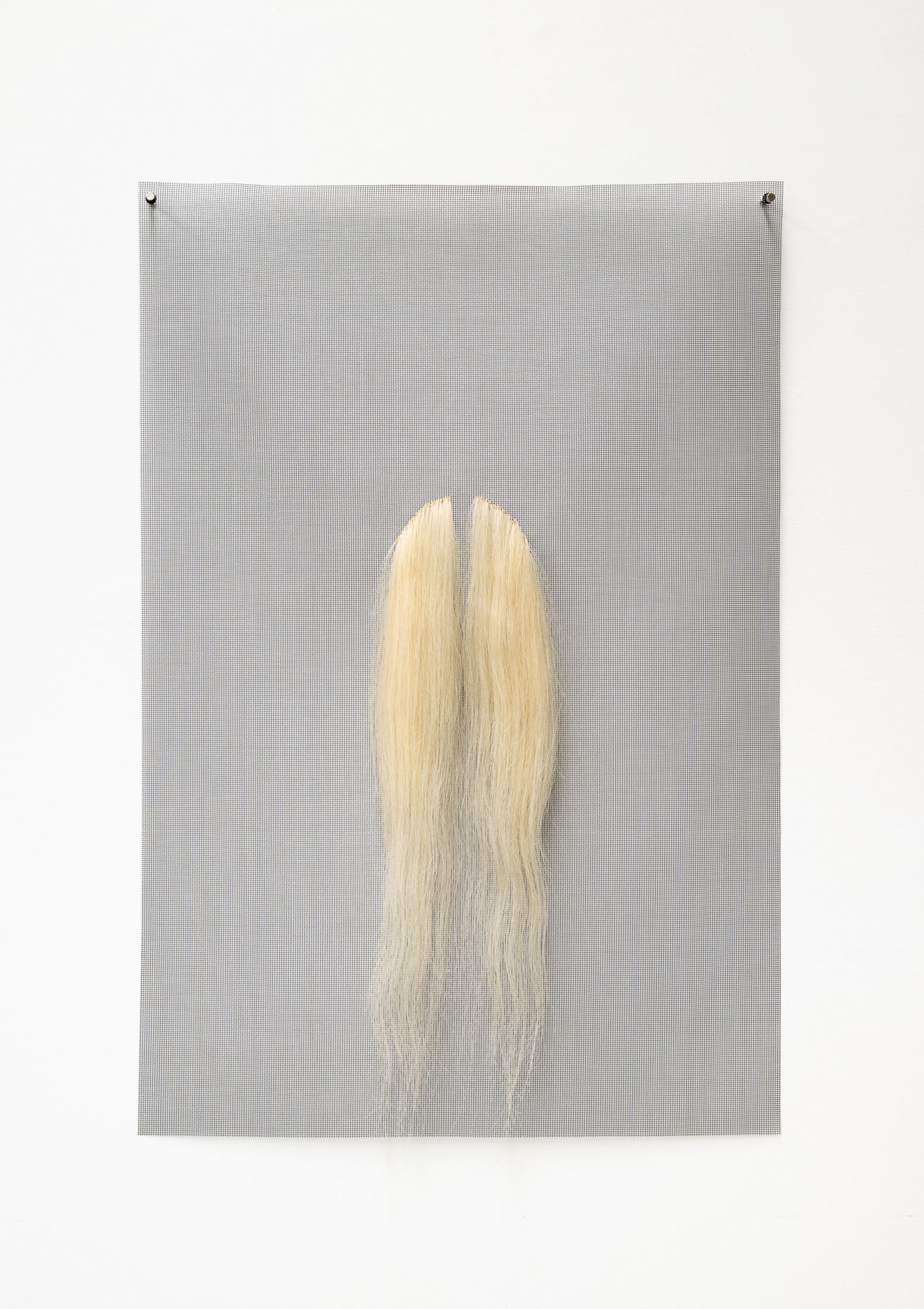 The Golden Section 3 by Karin Jones