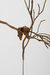 Excellent Obliteration by Ben Gould – detail view