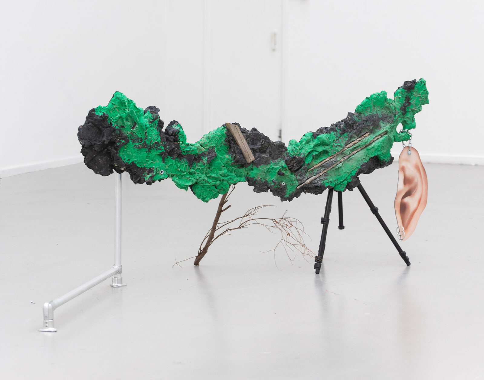Image gallery Thrilled by Rodrigo Red Sandoval
