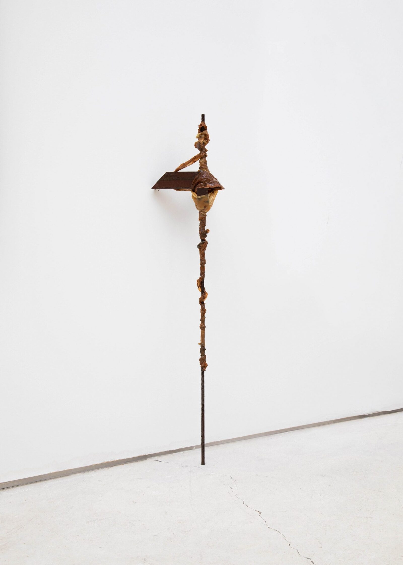Image gallery Untitled by Amorí – installation view