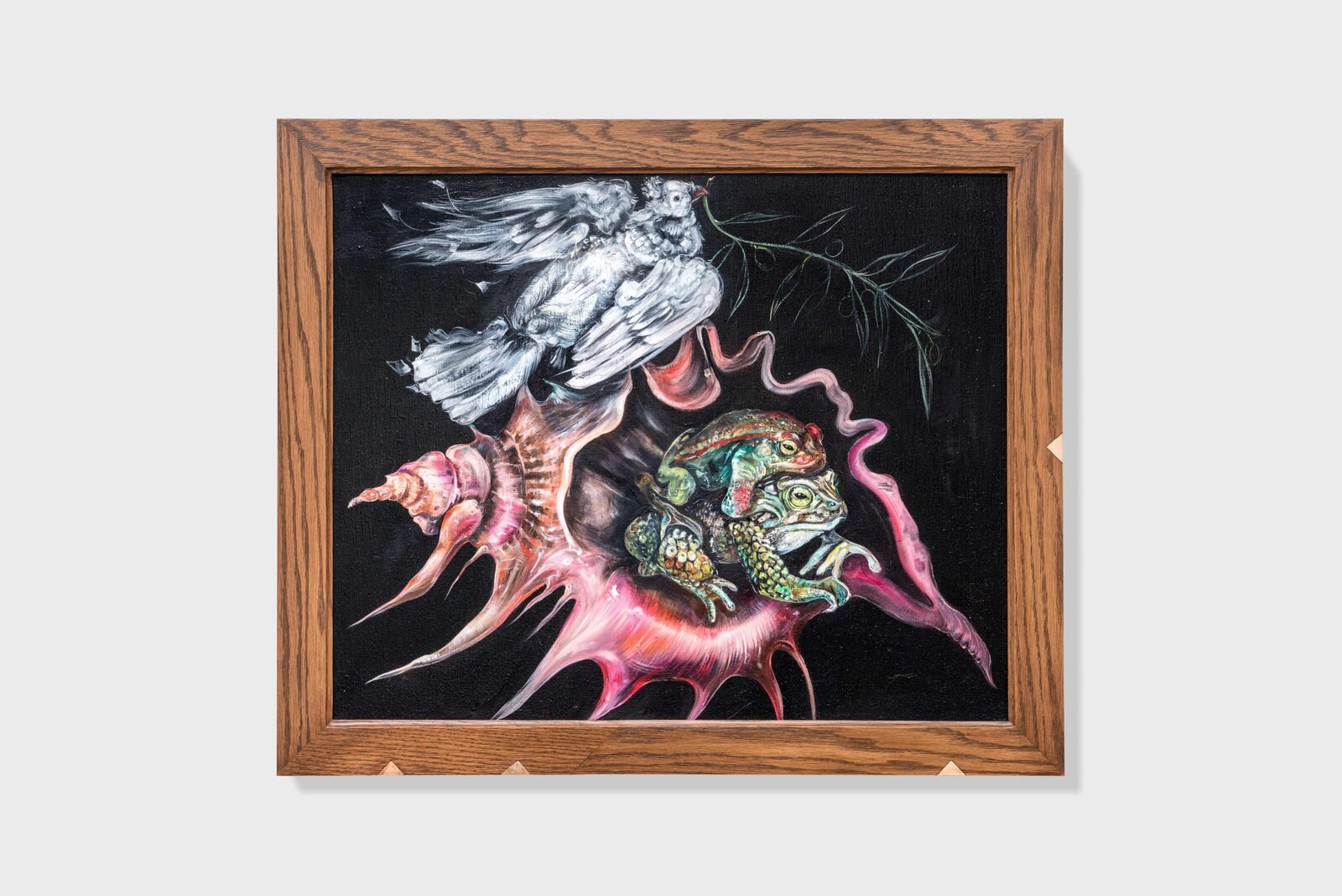 An incarnate shell as a witness / Una concha encarnada como testigo by Karla Kaplun