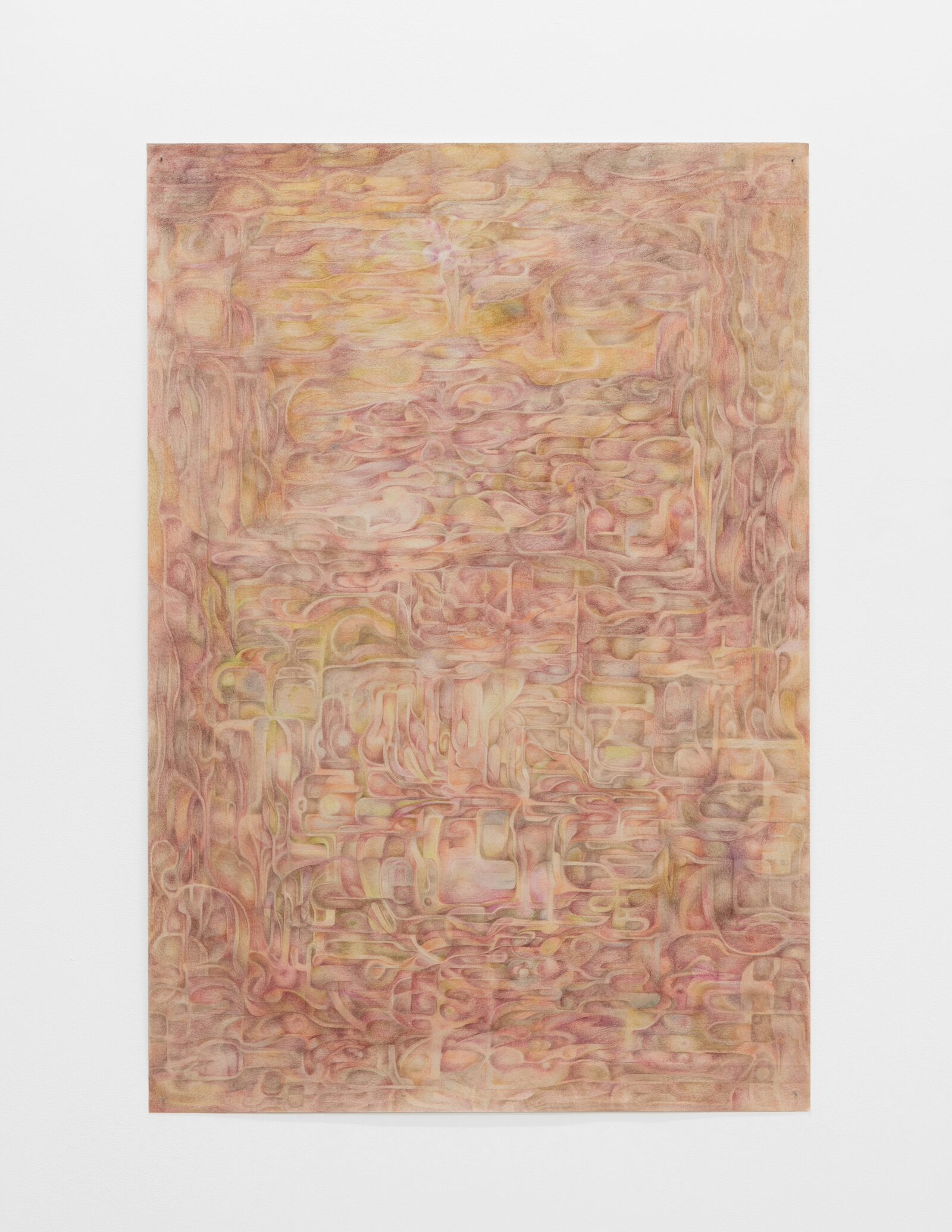 Feign Death by Hiromi Nakatsugawa